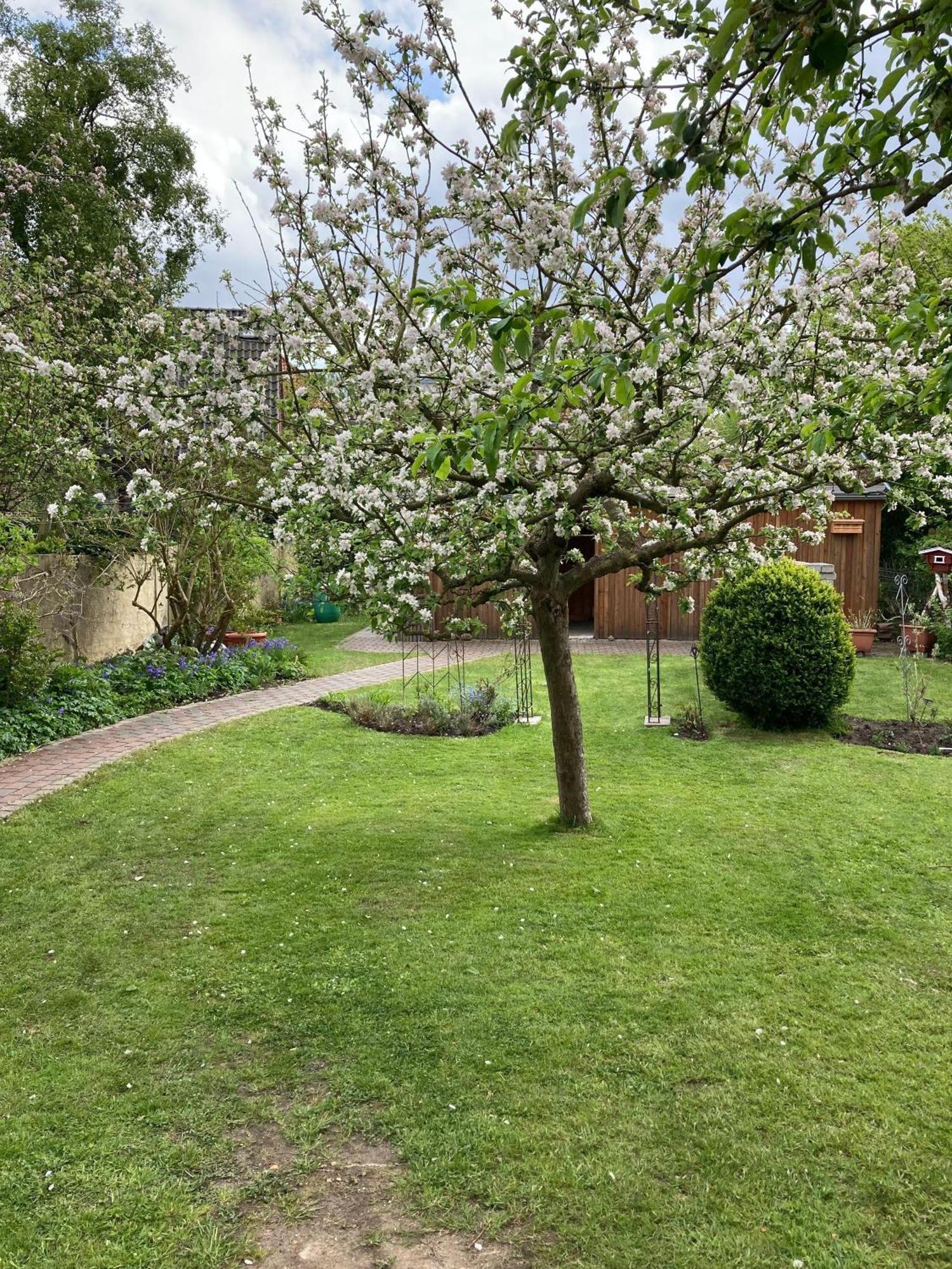 Charmante-Ferienwohnung-In-Der-Fjordstadt Flensburg Exteriör bild